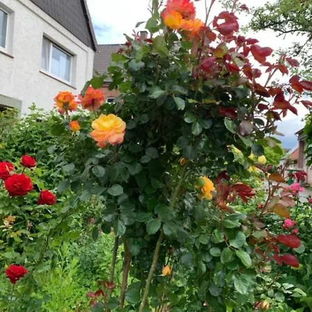 Monat Mietete Brakel Monteu Ferienwohnung 브레이크