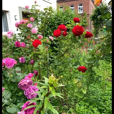 아파트 Monat Mietete Brakel Monteu Ferienwohnung