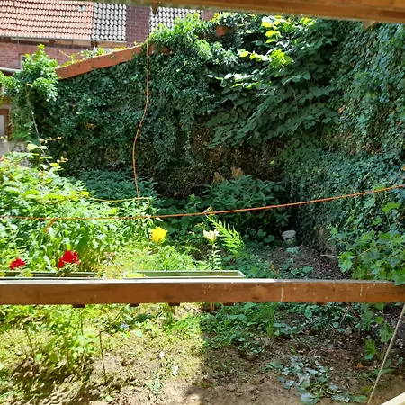 Monat Mietete Brakel Monteu Ferienwohnung 아파트