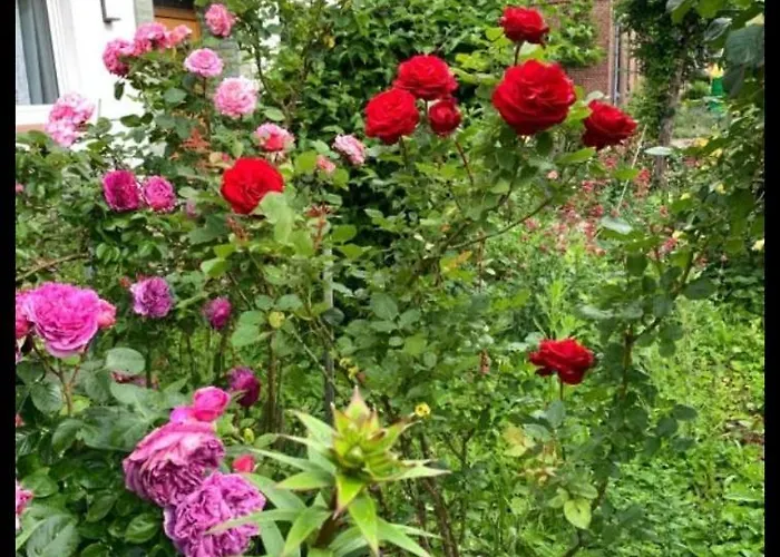 Apartmán Monat Mietete Monteu