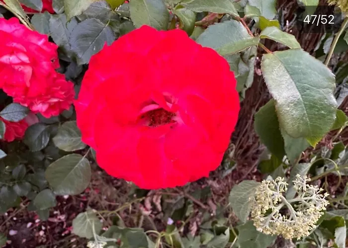 Apartmán Monat Mietete Monteu *