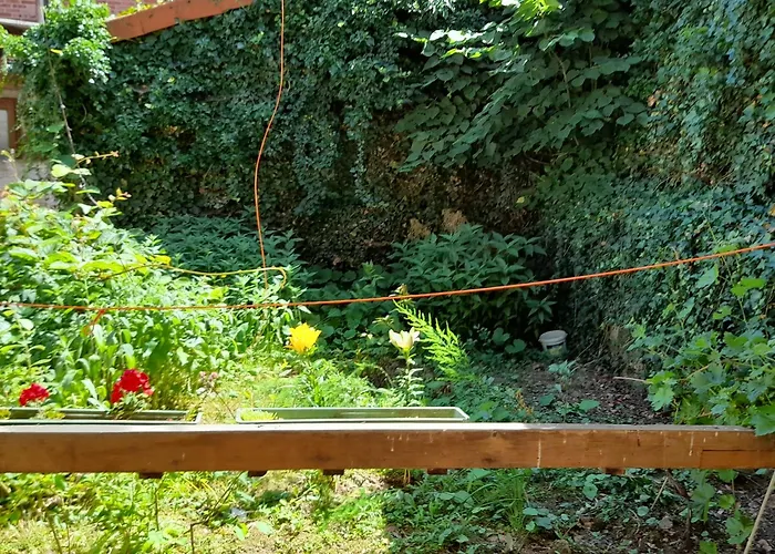 Monat Mietete Monteu Apartmán