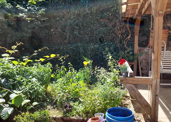 Monat Mietete Monteu Lejlighed *